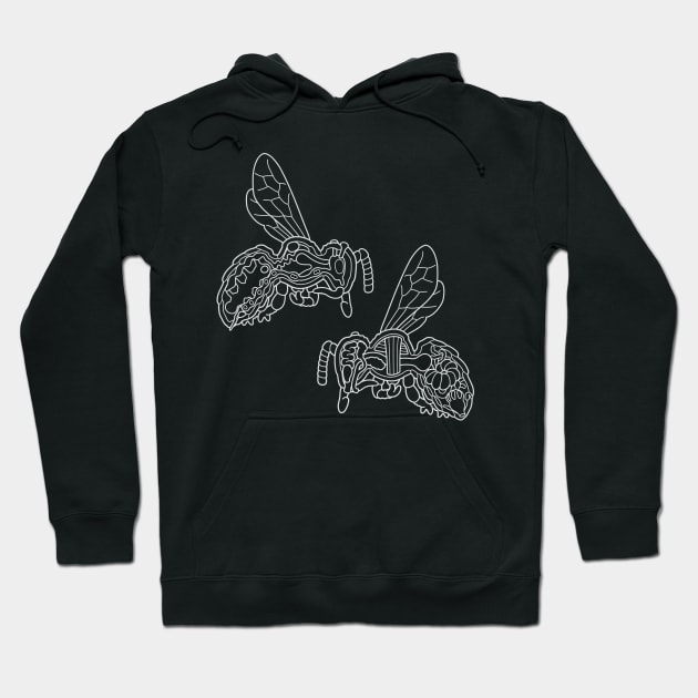 White Line Drawing of Honey Bee Anatomy Illustration Hoodie by taylorcustom